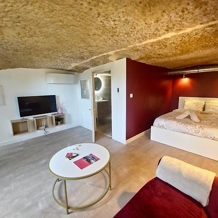 Ferienwohnung Le Cocon Troglodyte Saint-Étienne-de-Chigny Exterior foto