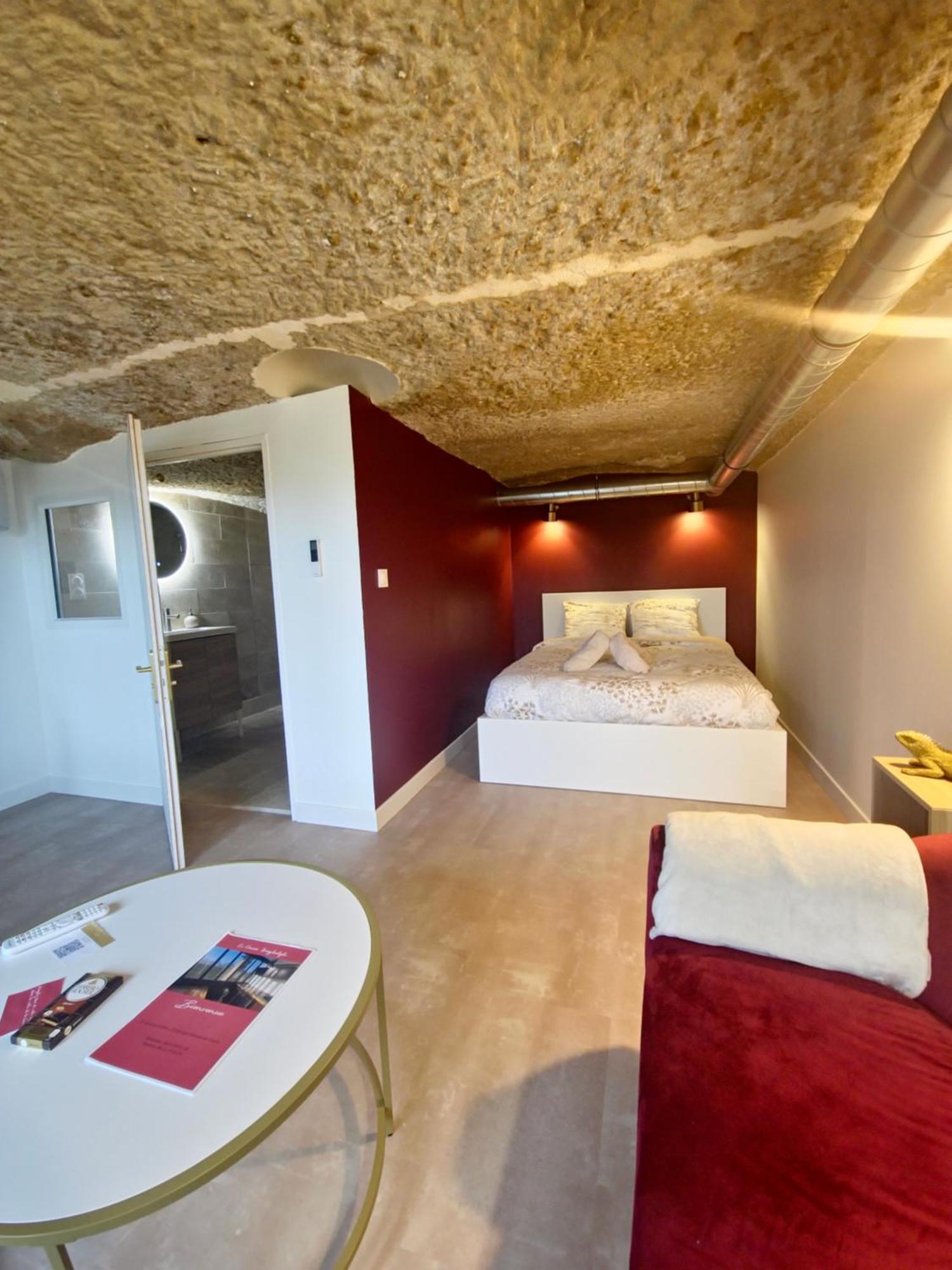 Ferienwohnung Le Cocon Troglodyte Saint-Étienne-de-Chigny Exterior foto